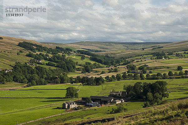 Landwirtschaftliches Gebiet  Lower Pennines  Northumberland  England  Vereinigtes Königreich  Europa