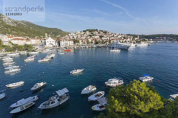 Ansicht des Hafens  Insel Hvar  Dalmatien  Kroatien  Europa