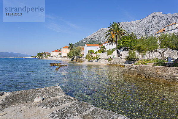 Küste  Orebic  Dalmatien  Kroatien  Europa