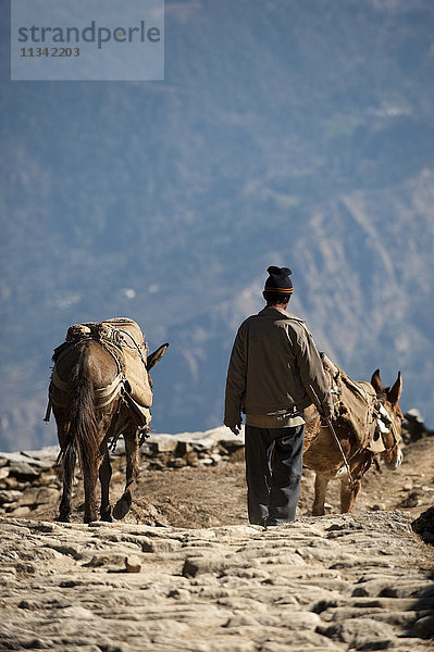 Ein Mann geht von seinem kleinen Dorf in den Bergen von Uttarakhand (Uttaranchal)  Indien  Asien  herunter.