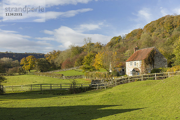 Herbst im Dorf Rievaulx Abbey in der Nähe von Helmsley in North Yorkshire  Yorkshire  England  Vereinigtes Königreich  Europa
