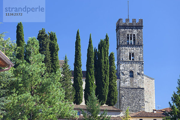 Der Dom von San Frediano  Barga  Toskana  Italien  Europa