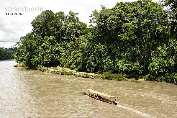 Misahualli im Oriente  Oberhaupt der Schifffahrt auf dem Rio Napo (Amazonas)  Ecuador  Südamerika