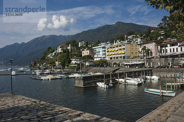 Alter Hafen  Ascona  Locarno  Lago Maggiore  Tessin  Schweiz  Europa