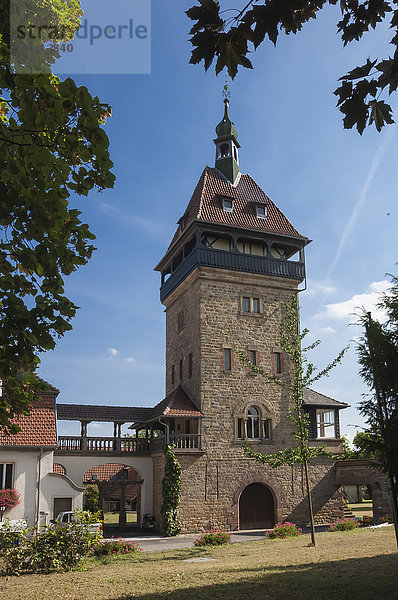 Weinhaus  Weinbaugebiet Pfalz  Deutschland  Europa