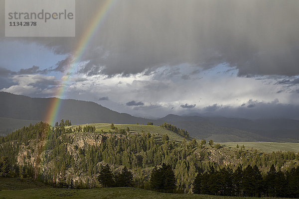 Regenbogen  Yellowstone-Nationalpark  UNESCO-Welterbe  Wyoming  Vereinigte Staaten von Amerika  Nordamerika