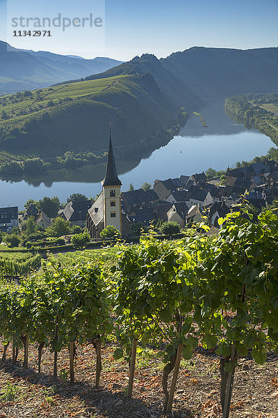 Blick auf die Mosel und die St. Lorenz-Kirche  Bremm  Rheinland-Pfalz  Deutschland  Europa