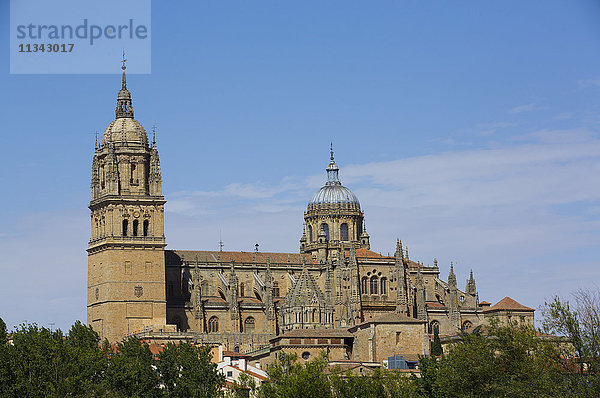 Kathedrale von Salamanca  Salamanca  UNESCO-Weltkulturerbe  Kastilien und Leon  Spanien  Europa