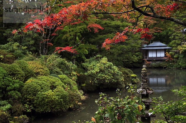 Japanischer Garten außerhalb des Tokugawa-Mausoleums  Nikko  Honshu  Japan  Asien