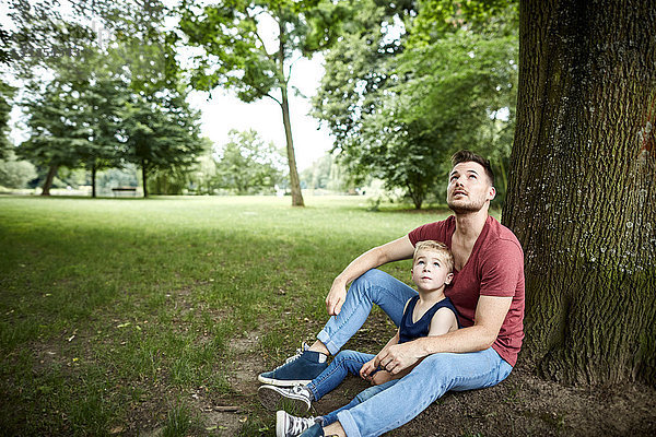 Vater und Sohn im Park schauen nach oben