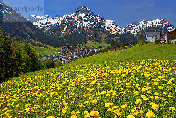 Lech am Arlberg  Lechquellengebirge  Österreich  Europa