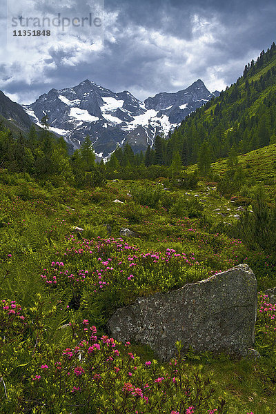 Grundschartner Nordkante  Zillertaler Alpen  Tirol  Österreich  Europa