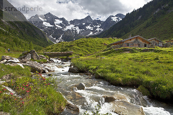 Grundschartner Nordkante  Zillertaler Alpen  Tirol  Österreich  Europa