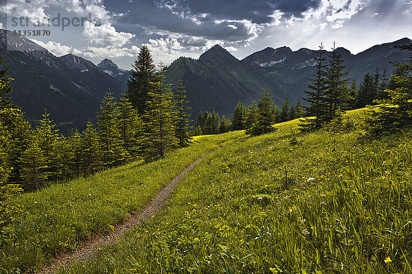 Almhütte  Lechtaler Alpen  Ausserfern  Tirol  Österreich  Europa