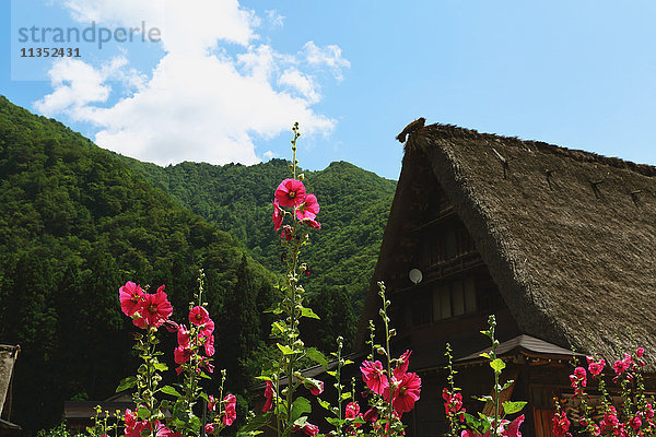 Traditionelles japanisches Dorf in Gokayama  Präfektur Toyama  Japan