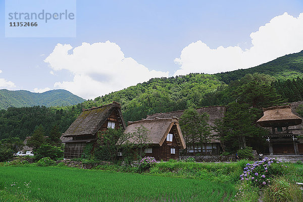 Traditionelles japanisches Dorf in Shirakawa-go  Präfektur Gifu  Japan