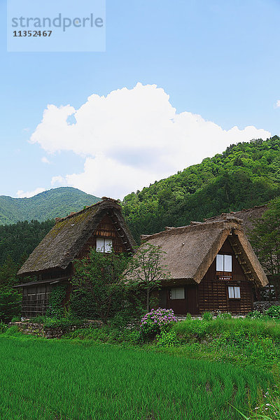 Traditionelles japanisches Dorf in Shirakawa-go  Präfektur Gifu  Japan