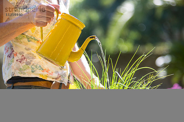 Schrägansicht einer Frau  die Pflanzen im Garten gießt