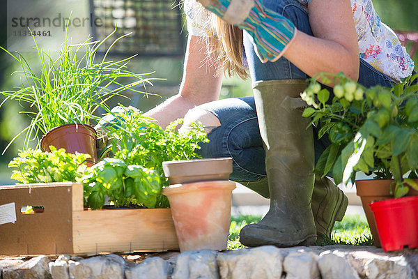 Schrägansicht einer Frau  die im Garten Kräuterpflanzen vorbereitet