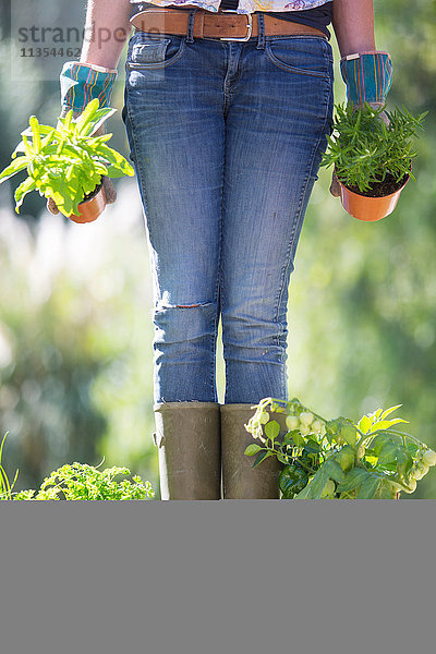 Taillenansicht einer Frau mit Kräuterpflanzen im Garten