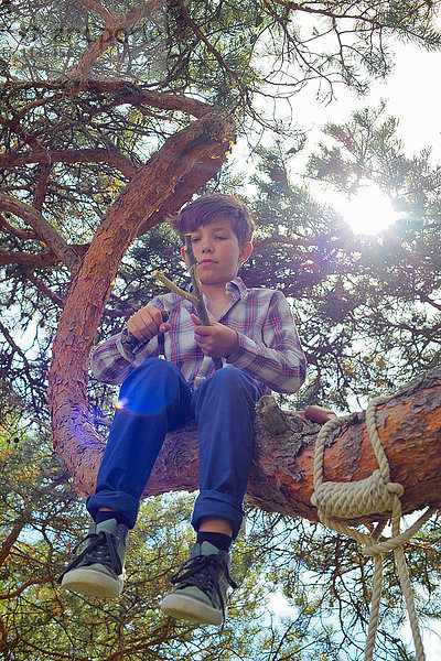 Junge auf Baum sitzend  Wetzstock mit Messer schärfen