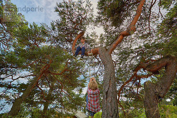 Junge sitzt im Baum  sein Freund klettert mit ihm die Strickleiter am Baum hoch