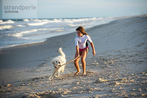 Junges Mädchen spielt mit Hund am Strand