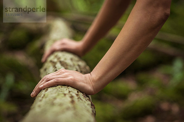 Mittelgroße erwachsene Frau  die im Wald trainiert  Liegestütze am Stamm macht  Nahaufnahme