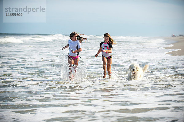 Zwei junge Mädchen rennen mit Hund durchs Meer