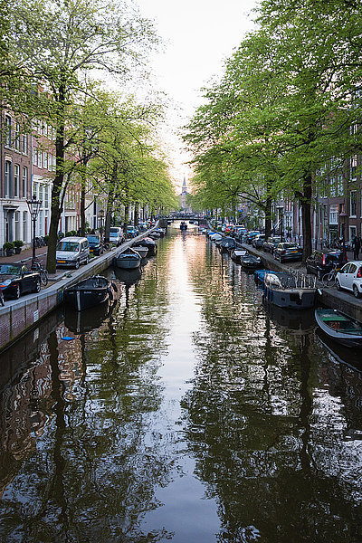 Blick auf den Kanal zwischen Stadthäusern im Frühjahr  Amsterdam  Niederlande