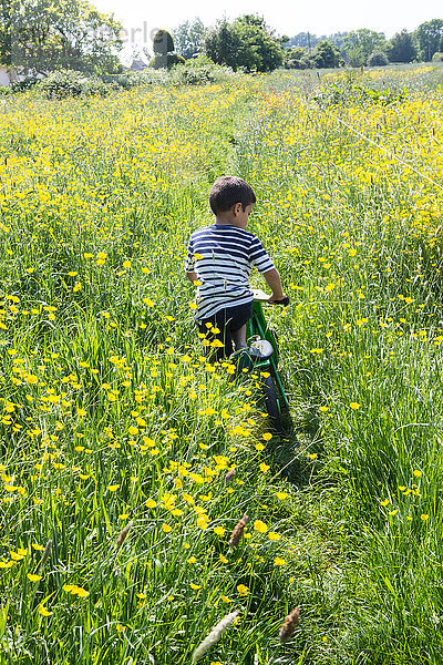 Rückansicht eines Jungen beim Radfahren im Feld der Butterblumen