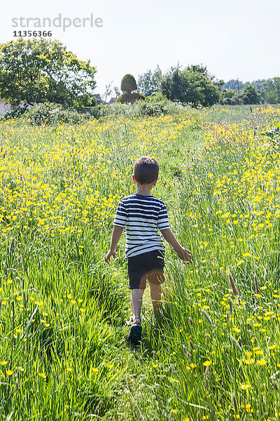 Rückansicht eines Jungen  der im Feld der Butterblumen läuft