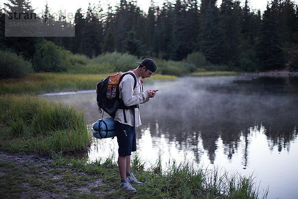 Männlicher Wanderer liest Smartphone-Text am nebligen See  Mount Hood National Forest  Oregon  USA