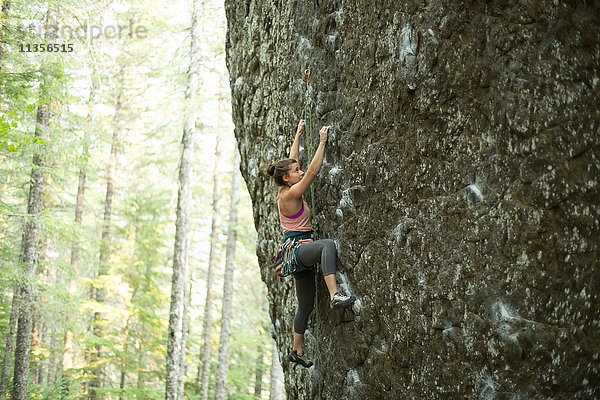 Junge weibliche Felskletterin klettert an einer Felswand im Wald  Mount Hood National Forest  Oregon  USA