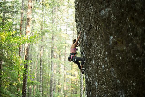 Junge weibliche Felskletterin klettert an einer Felswand im Wald  Mount Hood National Forest  Oregon  USA