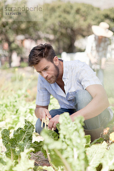 Porträt einer im Garten gereiften Person  die sich um den Gemüseanbau kümmert