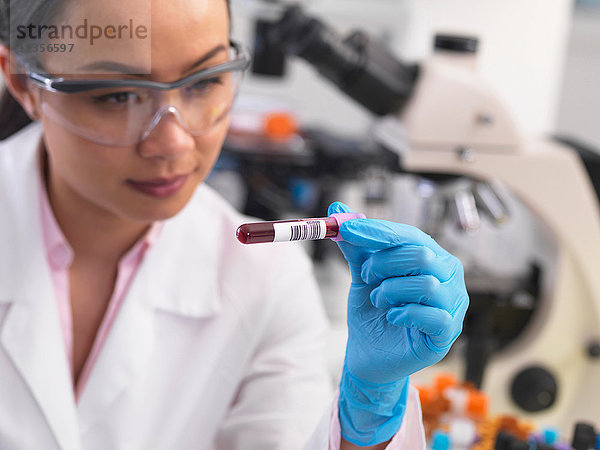 Wissenschaftler  der klinische Proben für medizinische Tests in einem Labor vorbereitet