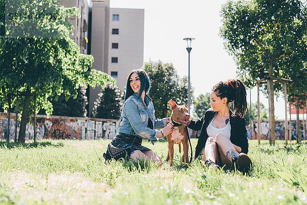 Zwei junge Frauen sitzen mit Pitbull Terrier im Stadtpark