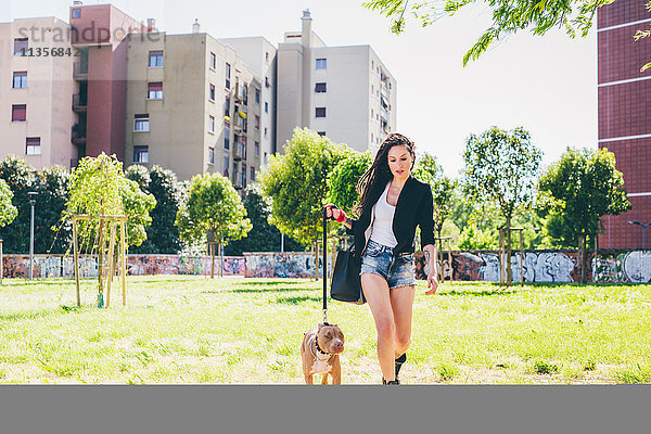 Junge Frau geht Pitbull Terrier im Stadtpark