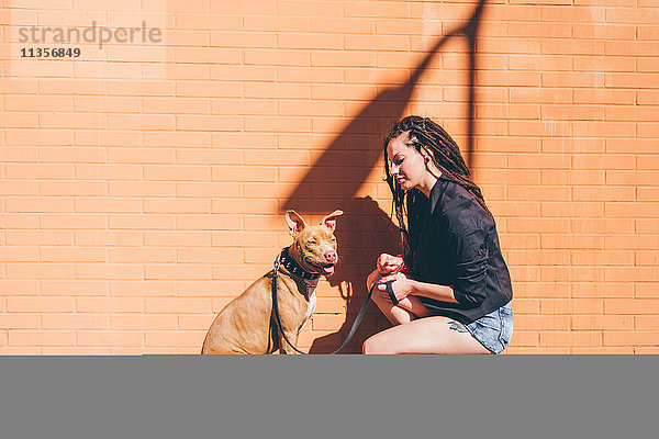 Junge Frau mit Dreadlocks kauert zu Pitbull Terrier vor oranger Wand