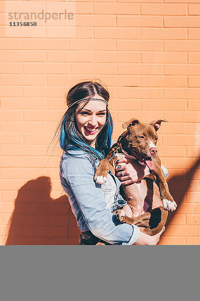 Junge Frau mit tauchgefärbten blauen Haaren hält Pitbull vor oranger Wand