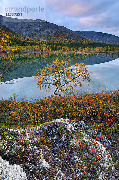 Herbstliche Farblandschaft an den Polygonalen Seen  Khibiny-Gebirge  Kola-Halbinsel  Russland