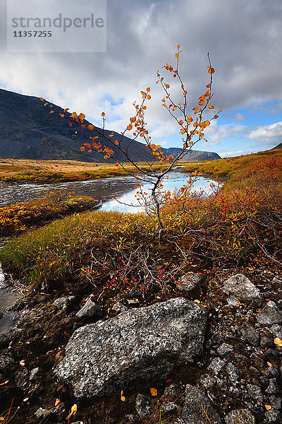 Herbstfarbiges Tal am Fluss Malaya Belaya  Khibiny-Gebirge  Kola-Halbinsel  Russland