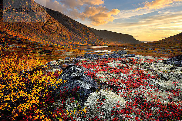 Herbstfarbiges Tal und Fluss Malaya Belaja  Khibiny-Gebirge  Kola-Halbinsel  Russland