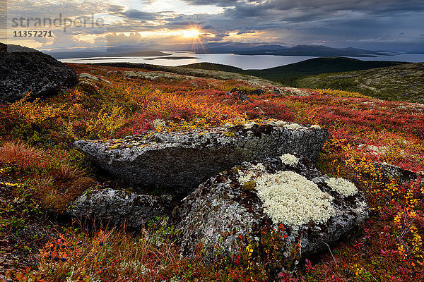 Herbstliche Farblandschaft am Imandra-See  Khibiny-Gebirge  Kola-Halbinsel  Russland