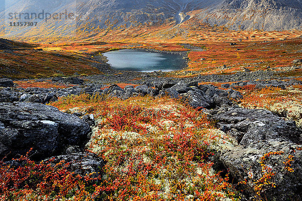 Herbstfarben im Tal des Malaya-Belaja-Flusses  Khibiny-Gebirge  Kola-Halbinsel  Russland