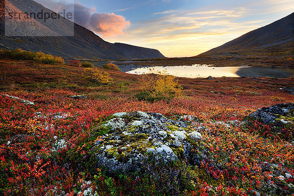 Herbstliche Farben im Tal des Malaya-Belaja-Flusses in der Abenddämmerung  Khibiny-Gebirge  Kola-Halbinsel  Russland