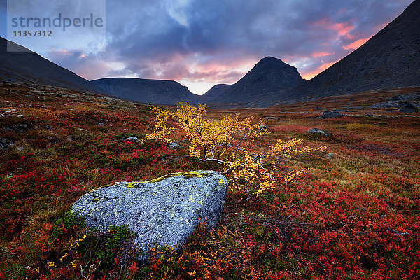 Herbstfarben und Felsbrocken im Tal des Flusses Malaya Belaja in der Abenddämmerung  Khibiny-Gebirge  Kola-Halbinsel  Russland