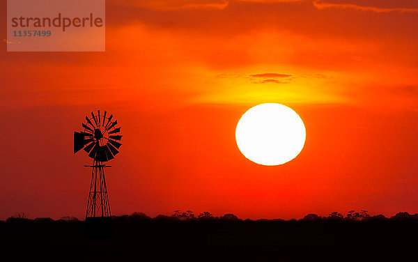 Windmühle bei Sonnenuntergang  Etoscha-Nationalpark  Namibia