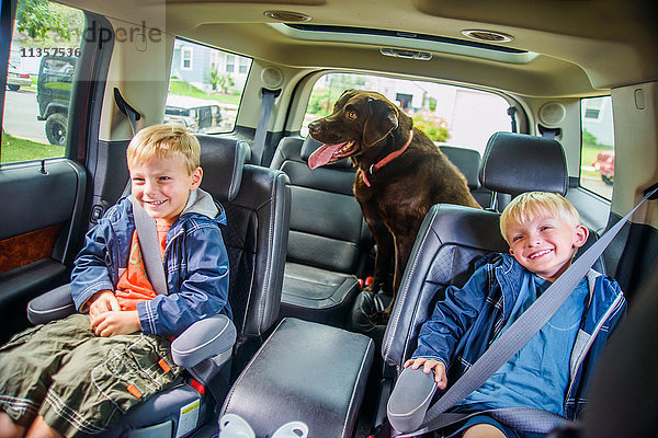 Zwillingsbrüder sitzen hinten im Fahrzeug  schelmische Ausdrücke  Haushund sitzt hinten